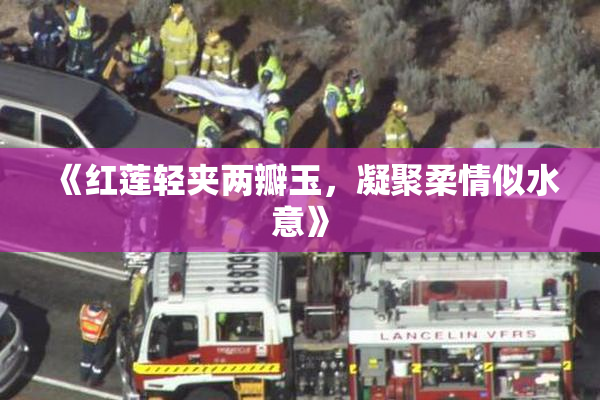 《红莲轻夹两瓣玉，凝聚柔情似水意》