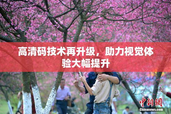 高清码技术再升级，助力视觉体验大幅提升