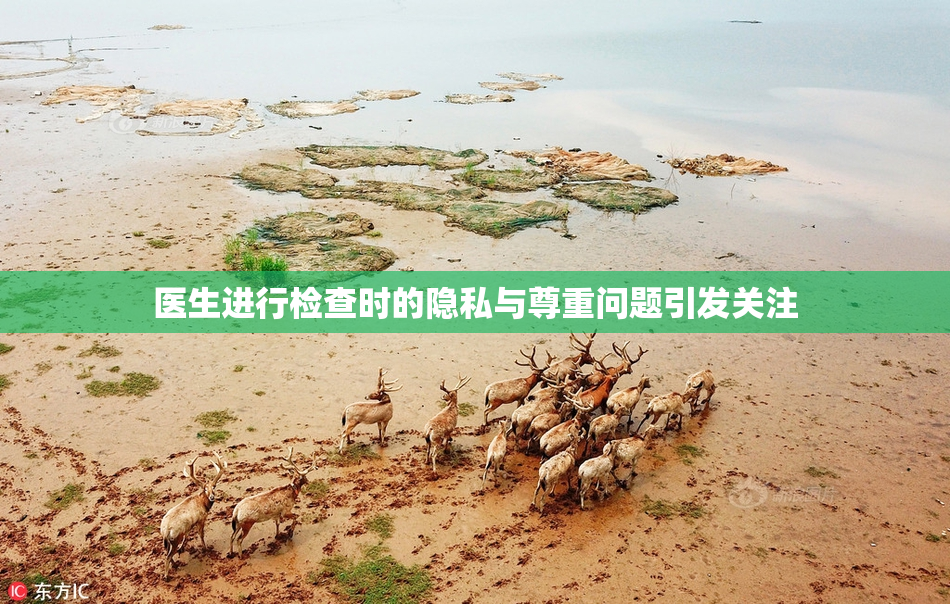 医生进行检查时的隐私与尊重问题引发关注