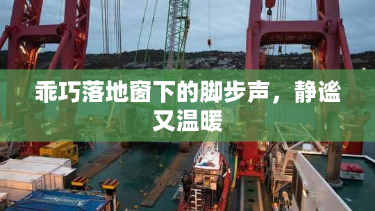 乖巧落地窗下的脚步声，静谧又温暖