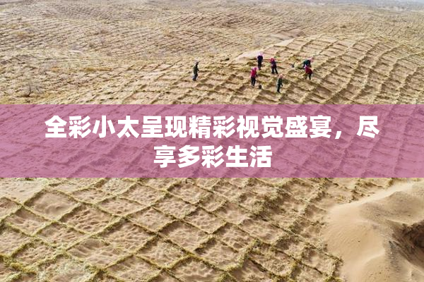 全彩小太呈现精彩视觉盛宴，尽享多彩生活