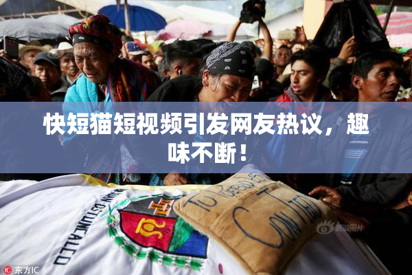 快短猫短视频引发网友热议，趣味不断！
