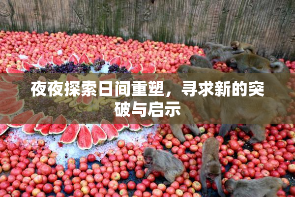夜夜探索日间重塑，寻求新的突破与启示