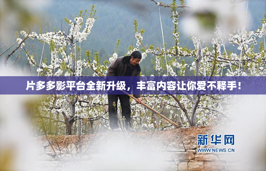 片多多影平台全新升级，丰富内容让你爱不释手！