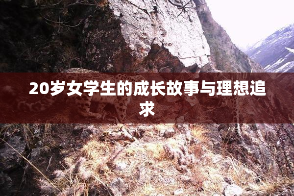 20岁女学生的成长故事与理想追求