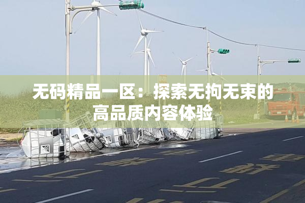 无码精品一区：探索无拘无束的高品质内容体验
