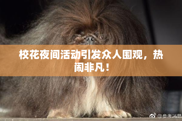 校花夜间活动引发众人围观，热闹非凡！