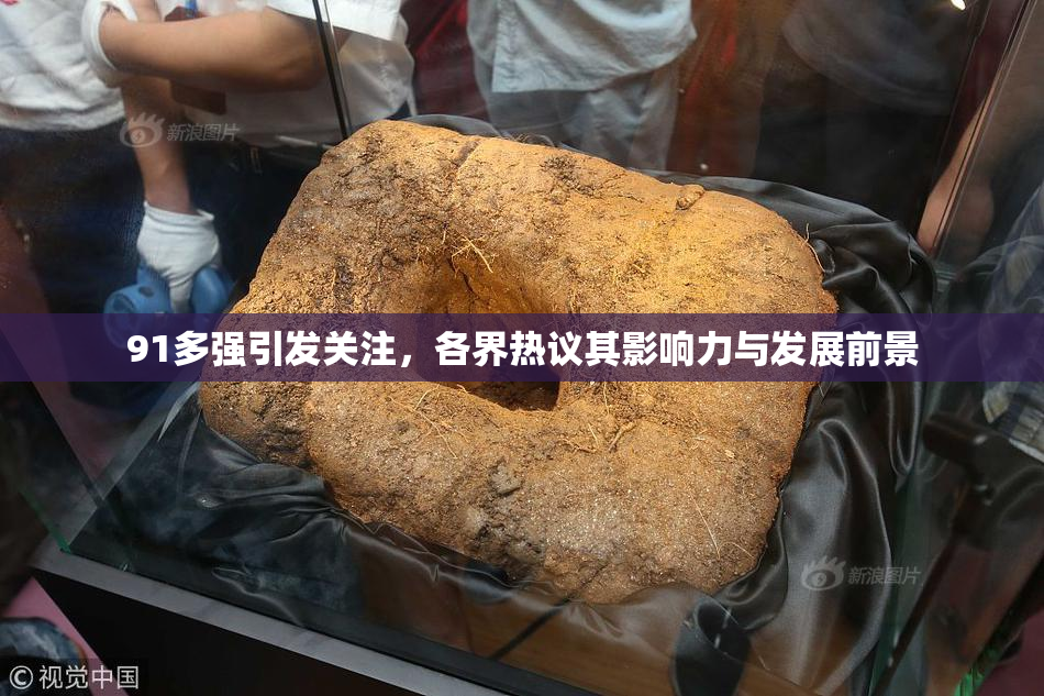 91多强引发关注，各界热议其影响力与发展前景