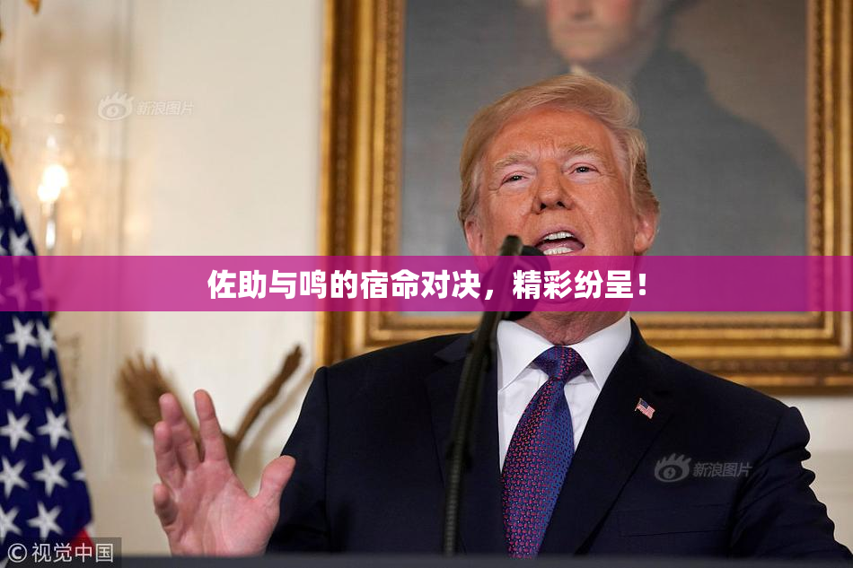 佐助与鸣的宿命对决，精彩纷呈！