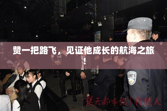 赞一把路飞，见证他成长的航海之旅！