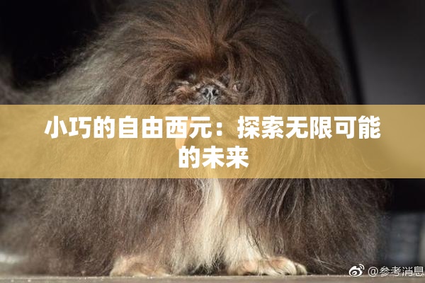 小巧的自由西元：探索无限可能的未来