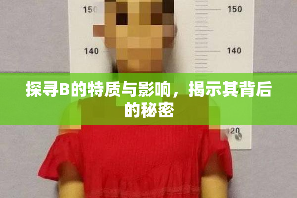 探寻B的特质与影响，揭示其背后的秘密