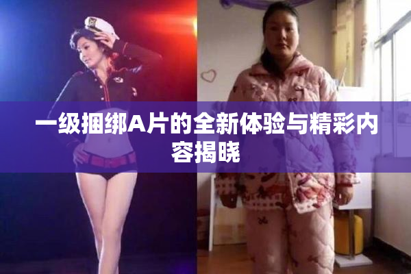 一级捆绑A片的全新体验与精彩内容揭晓