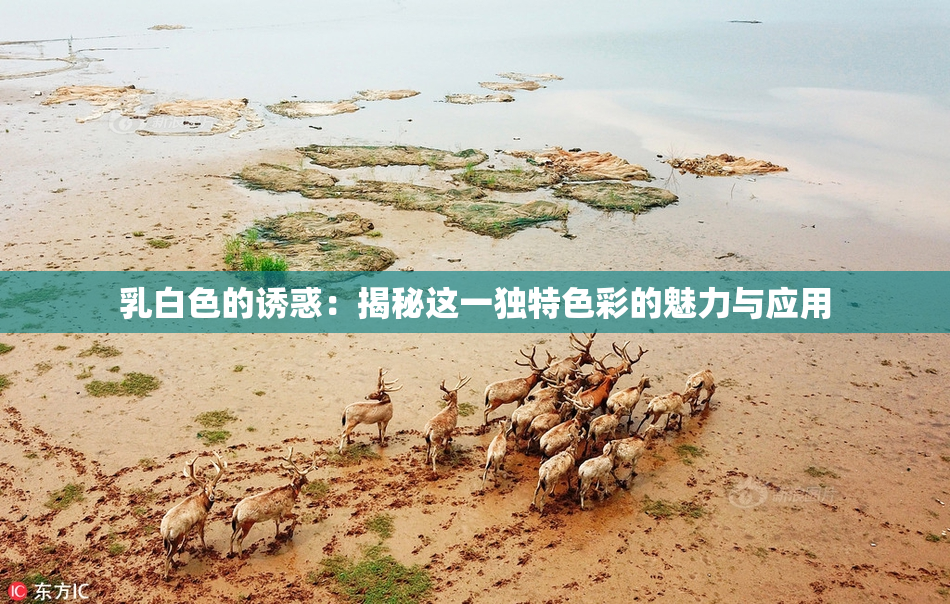 乳白色的诱惑：揭秘这一独特色彩的魅力与应用