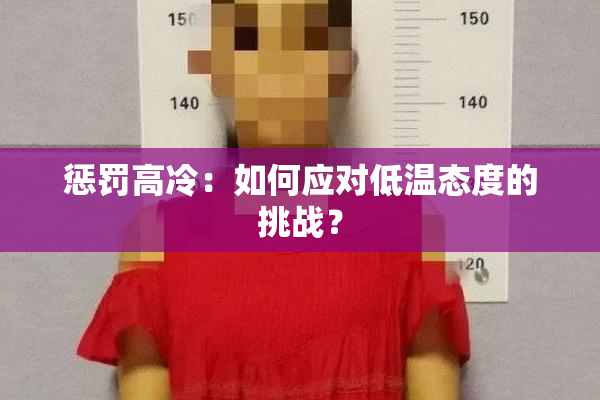 惩罚高冷：如何应对低温态度的挑战？
