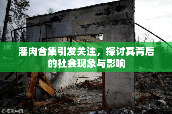 淫肉合集引发关注，探讨其背后的社会现象与影响