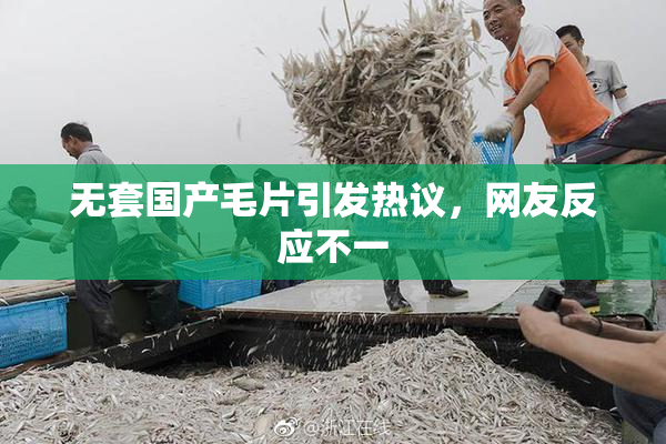 无套国产毛片引发热议，网友反应不一