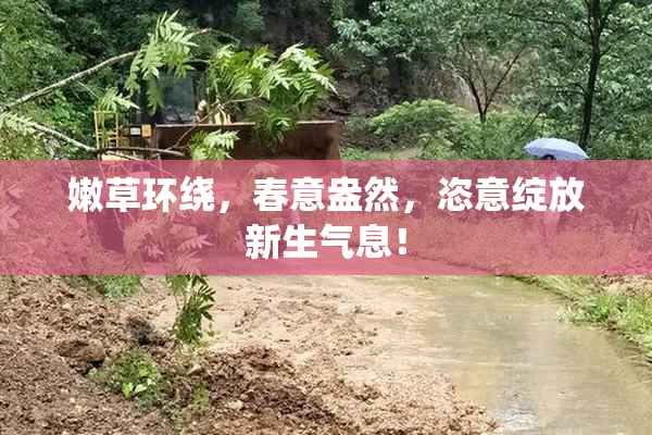 嫩草环绕，春意盎然，恣意绽放新生气息！