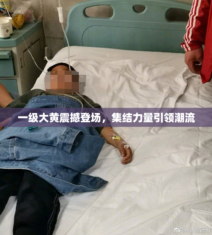 一级大黄震撼登场，集结力量引领潮流