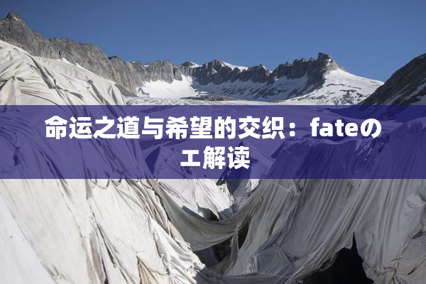 命运之道与希望的交织：fateのエ解读
