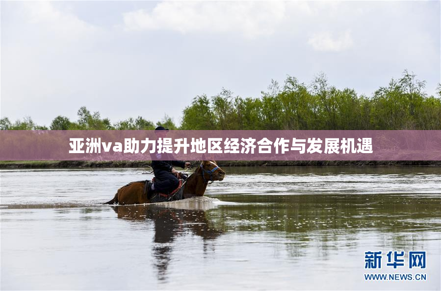 亚洲va助力提升地区经济合作与发展机遇