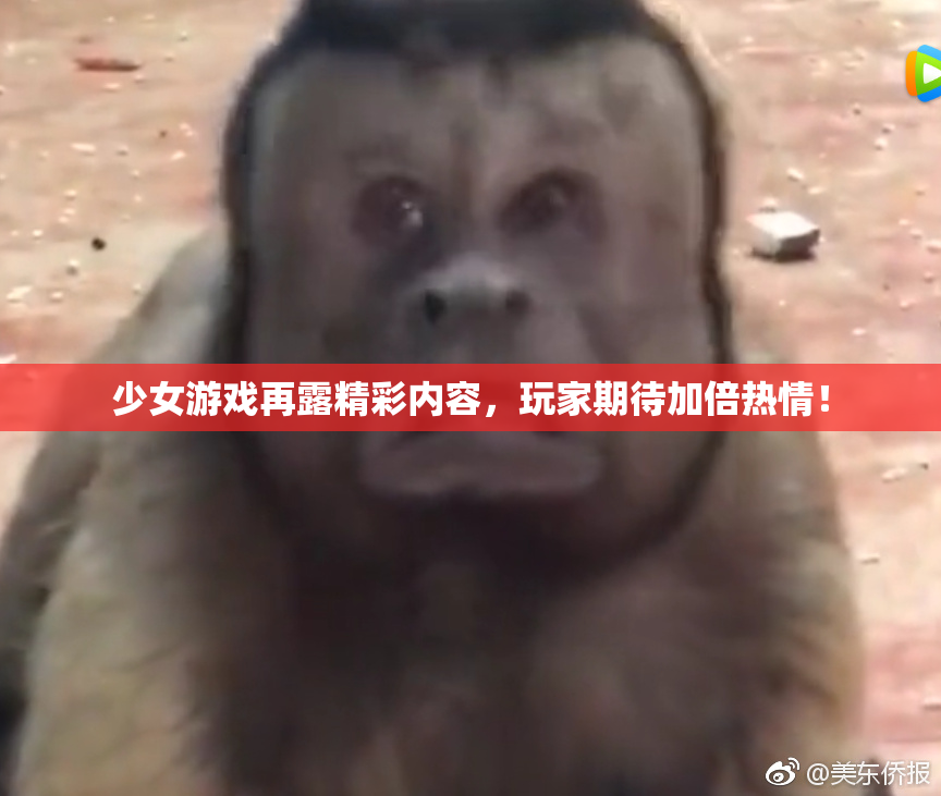 少女游戏再露精彩内容，玩家期待加倍热情！