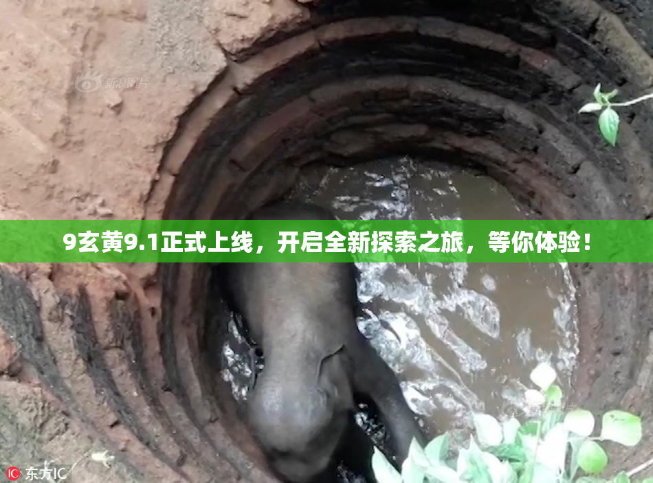 9玄黄9.1正式上线，开启全新探索之旅，等你体验！