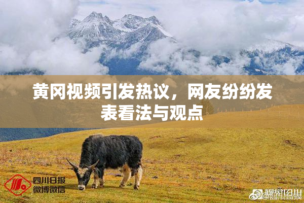 黄冈视频引发热议，网友纷纷发表看法与观点