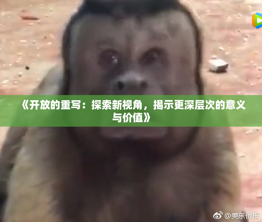 《开放的重写：探索新视角，揭示更深层次的意义与价值》