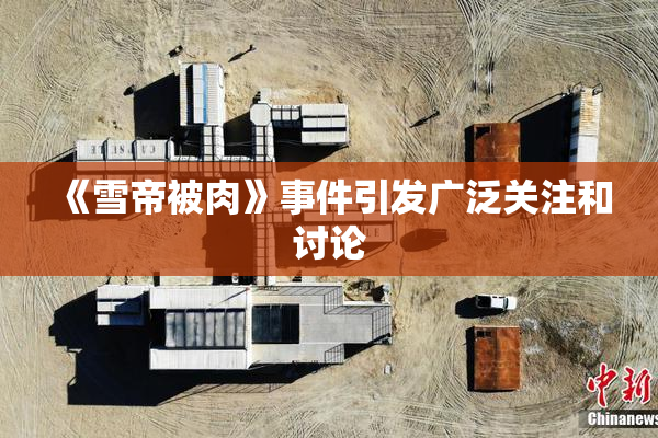《雪帝被肉》事件引发广泛关注和讨论