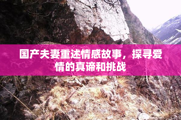 国产夫妻重述情感故事，探寻爱情的真谛和挑战