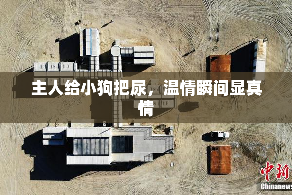 主人给小狗把尿，温情瞬间显真情