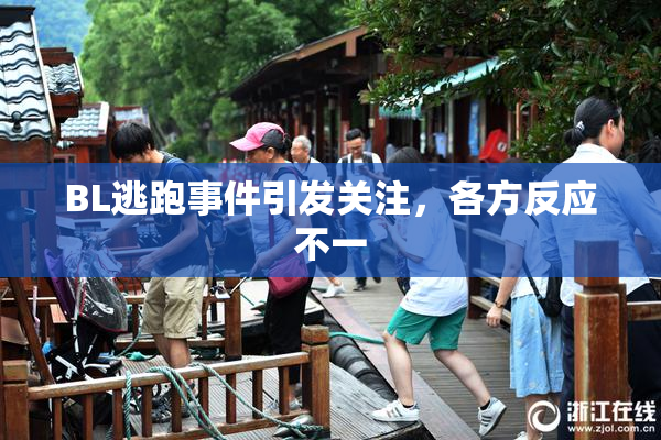 BL逃跑事件引发关注，各方反应不一