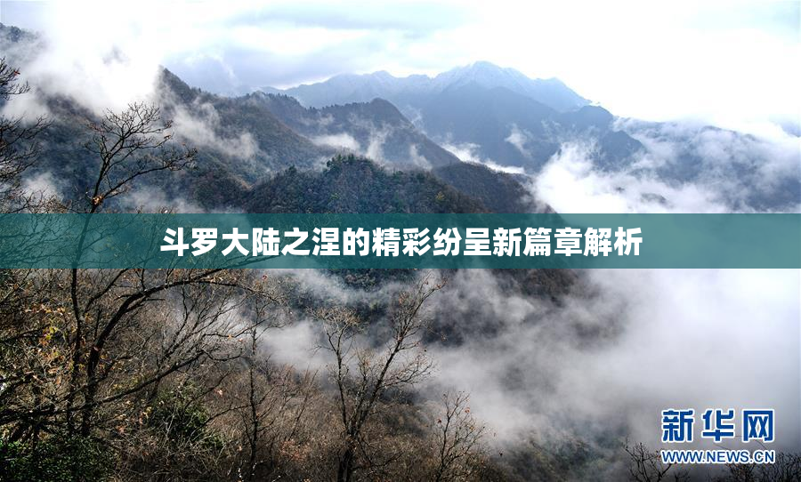 斗罗大陆之涅的精彩纷呈新篇章解析