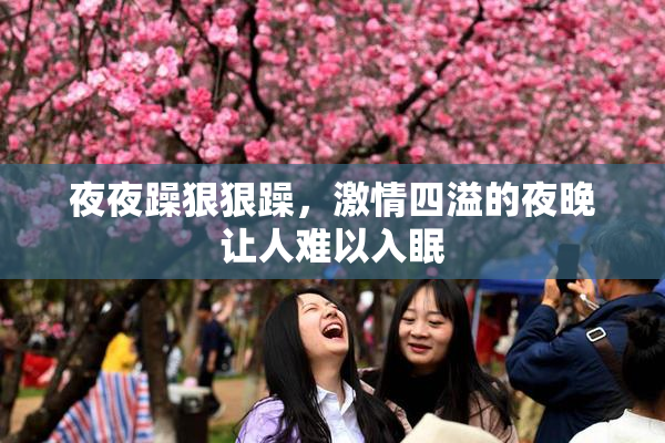 夜夜躁狠狠躁，激情四溢的夜晚让人难以入眠