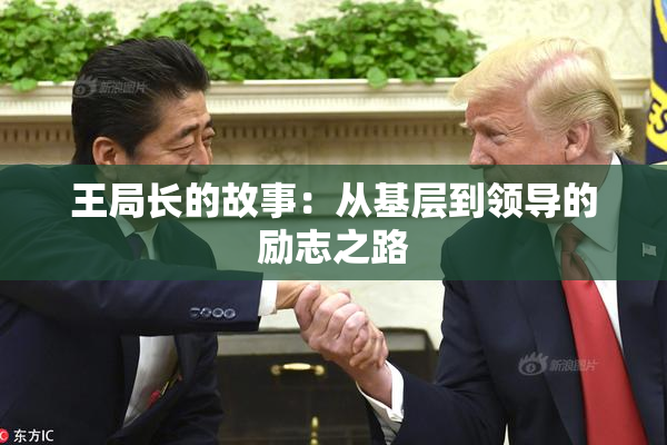 王局长的故事：从基层到领导的励志之路