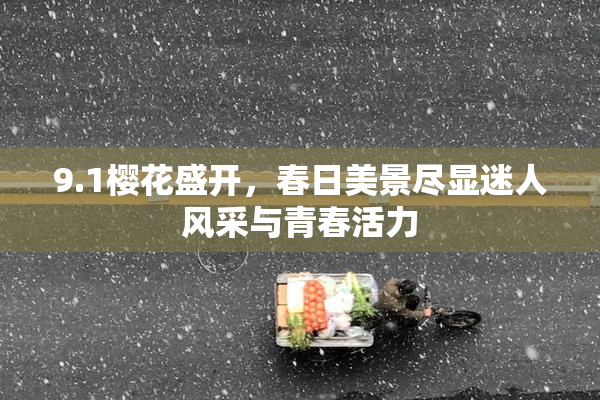 9.1樱花盛开，春日美景尽显迷人风采与青春活力