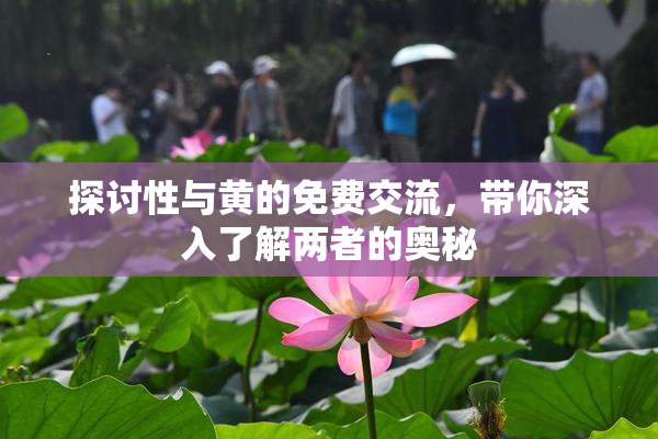探讨性与黄的免费交流，带你深入了解两者的奥秘