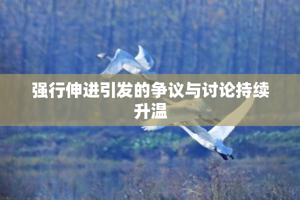强行伸进引发的争议与讨论持续升温