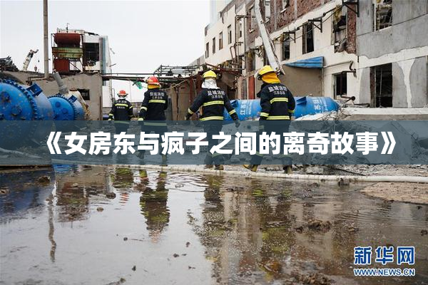《女房东与疯子之间的离奇故事》
