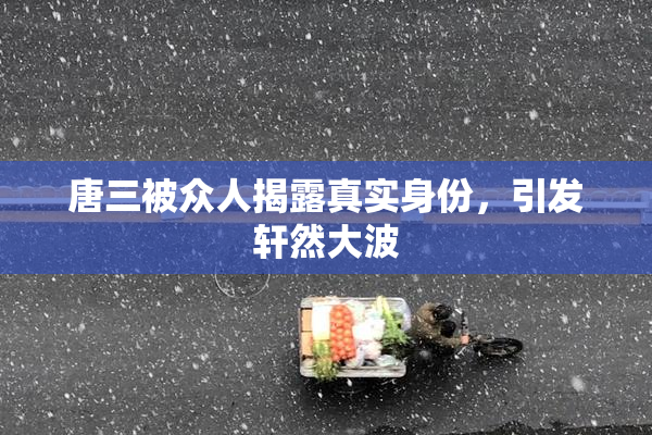 唐三被众人揭露真实身份，引发轩然大波