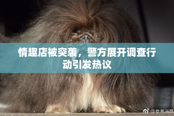 情趣店被突袭，警方展开调查行动引发热议