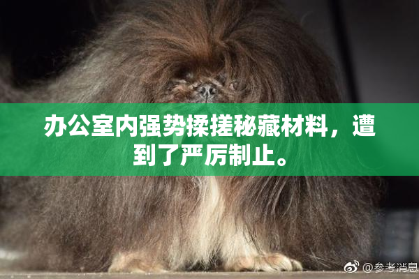 办公室内强势揉搓秘藏材料，遭到了严厉制止。