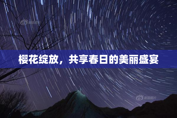 樱花绽放，共享春日的美丽盛宴