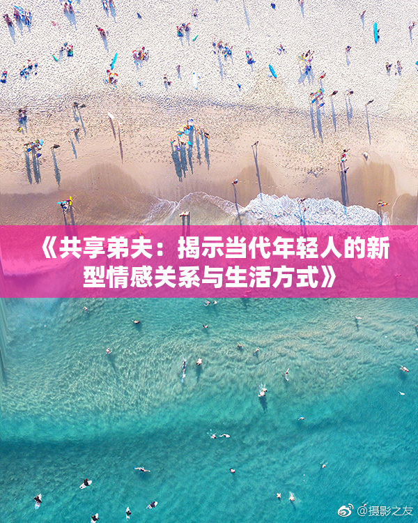 《共享弟夫：揭示当代年轻人的新型情感关系与生活方式》