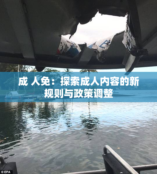 成 人免：探索成人内容的新规则与政策调整