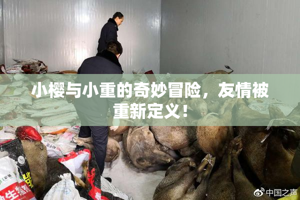 小樱与小重的奇妙冒险，友情被重新定义！