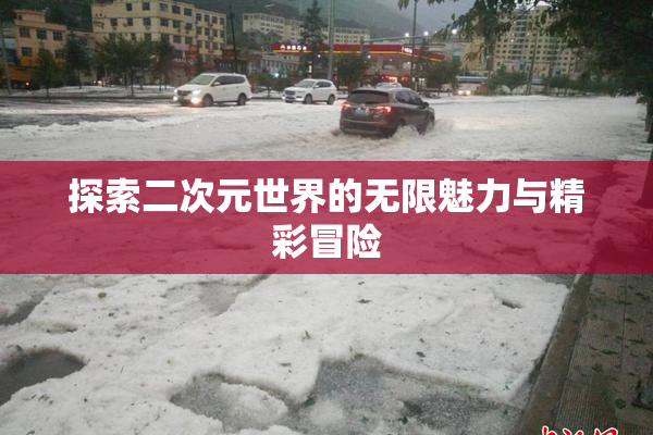 探索二次元世界的无限魅力与精彩冒险