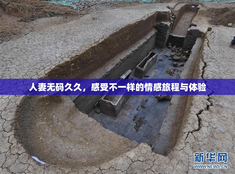 人妻无码久久，感受不一样的情感旅程与体验