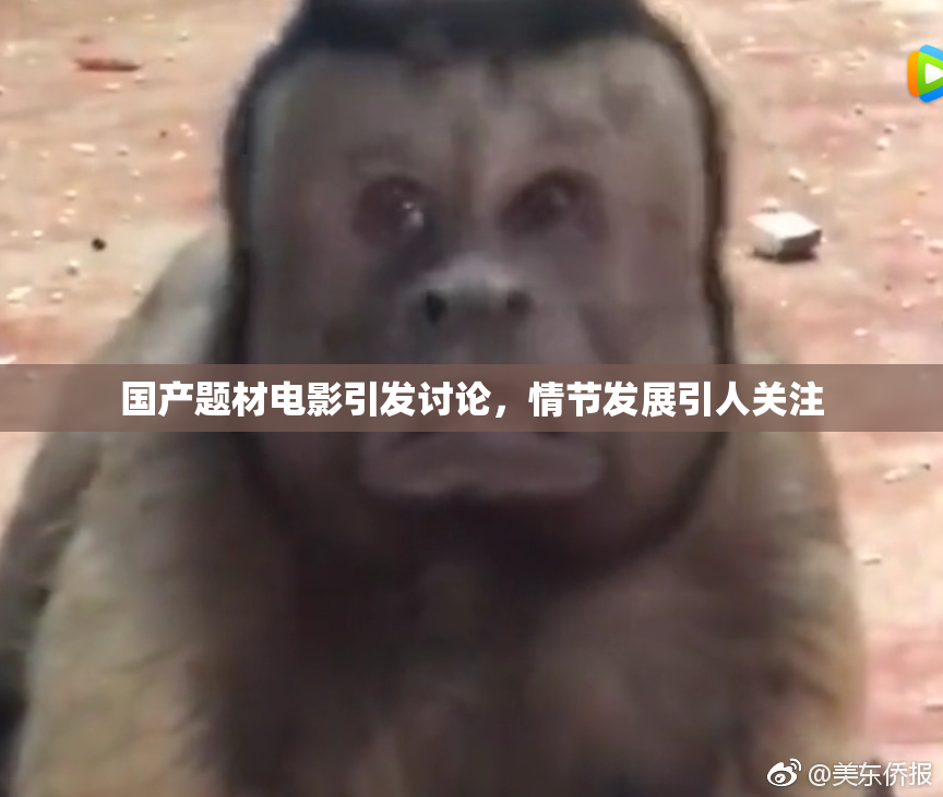 国产题材电影引发讨论，情节发展引人关注